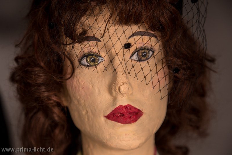 Bild 011