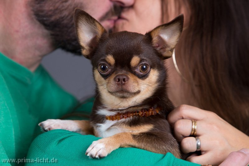 Bild 036