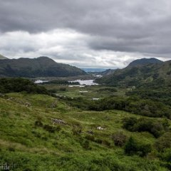 Irland_0488.jpg