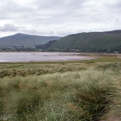 Irland_0578.jpg