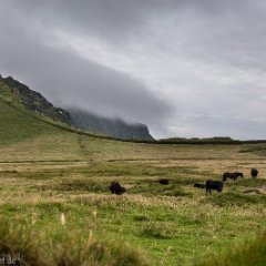 Irland_0636.jpg