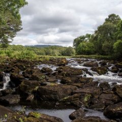 Irland_0798.jpg