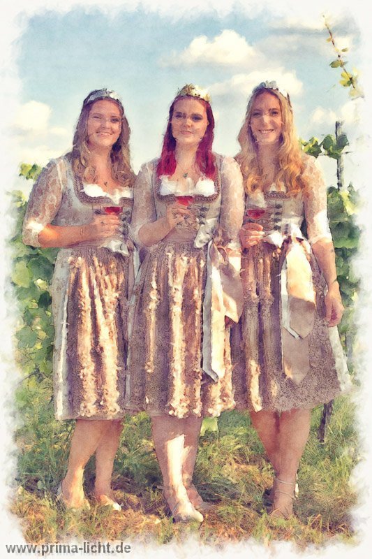 Wein052